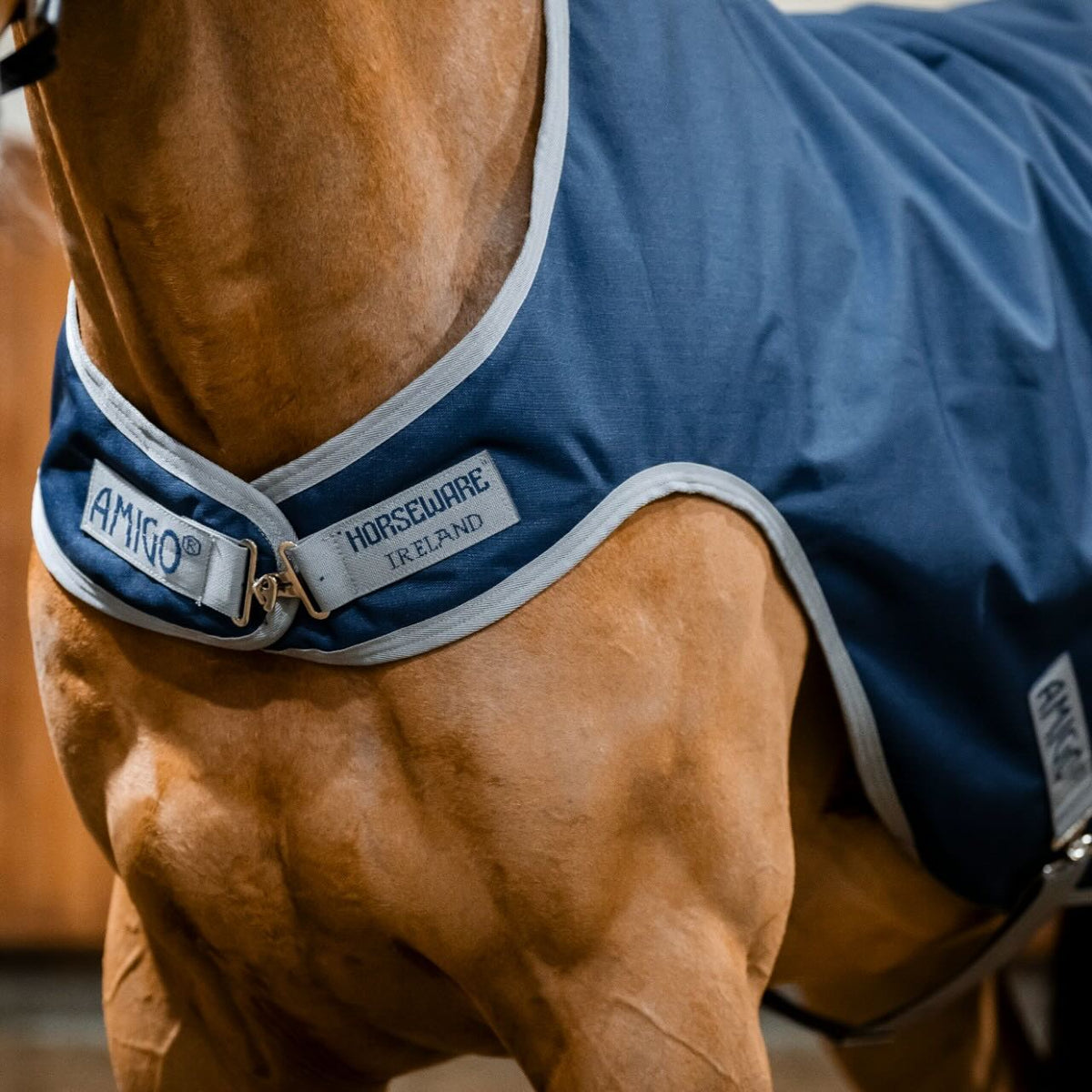 Führanlagendecke Amigo 100g Ripstop 900D Walker Rug, Midsummer Blue, Pferd trägt die Führanlagendecke.