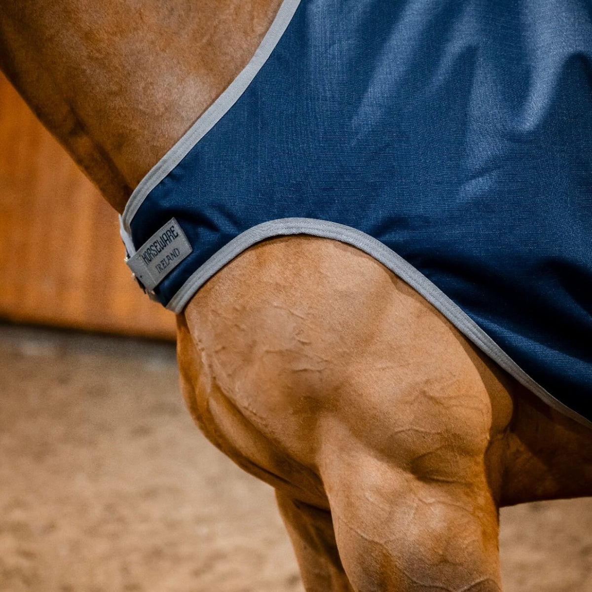 Horseware Ireland Führanlagendecke Amigo 100g Ripstop 900D Walker Rug, Midsummer Blue, Detailaufnahme am Pferd.