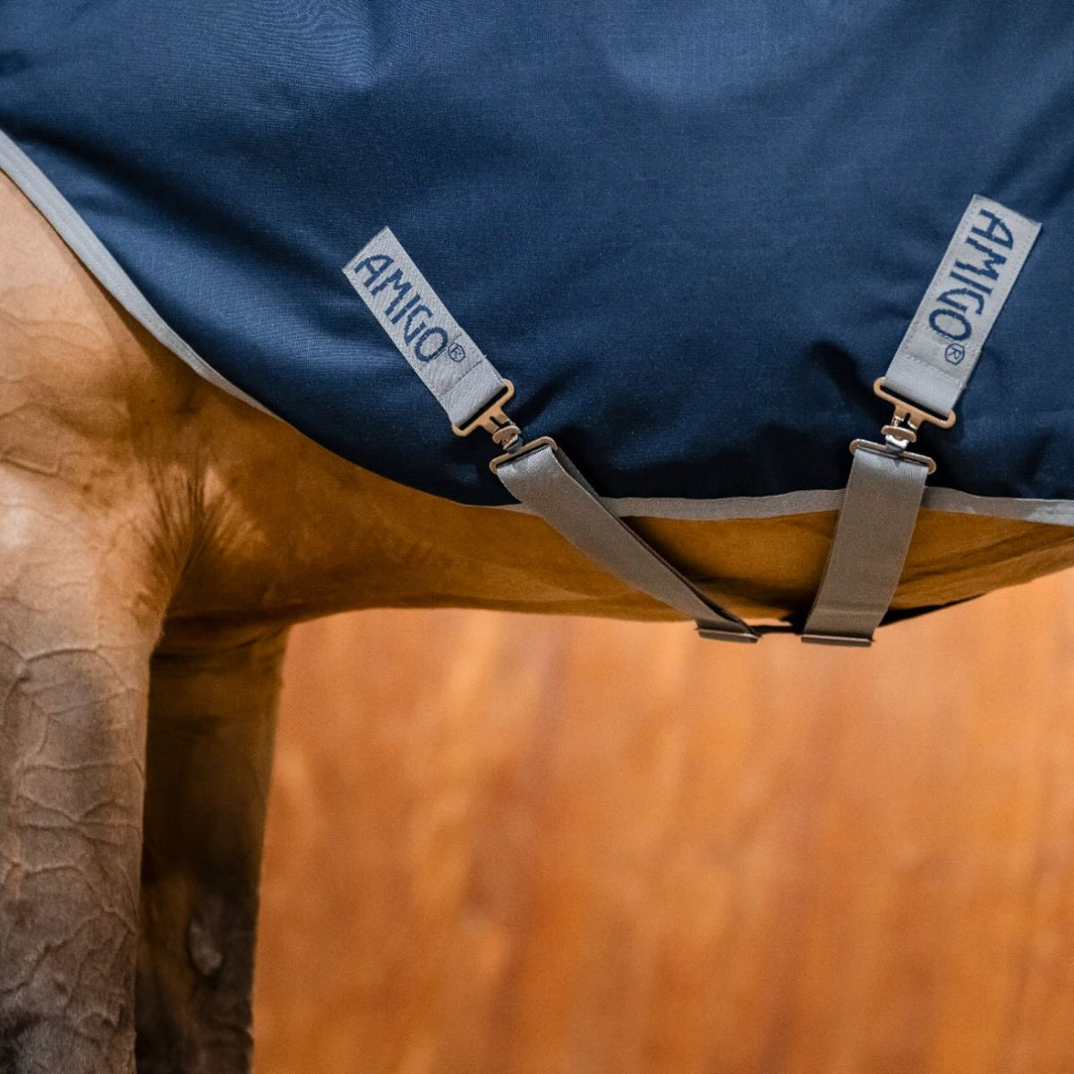 Horseware Ireland Führanlagendecke Amigo 100g Ripstop 900D Walker Rug, Midsummer Blue, Detailaufnahme am Pferd.
