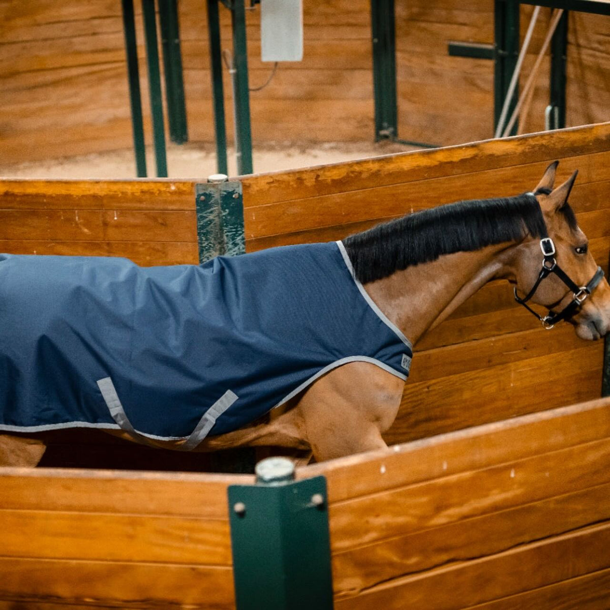 Horseware Ireland Führanlagendecke Amigo 100g Ripstop 900D Walker Rug, Midsummer Blue, Pferd in der Führanlage.