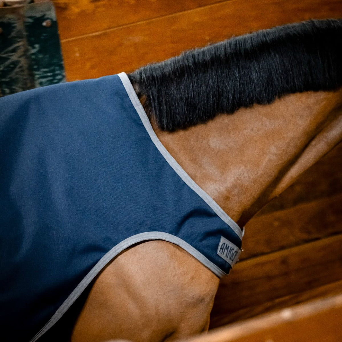Horseware Ireland Führanlagendecke Amigo 100g Ripstop 900D Walker Rug, Midsummer Blue, am Pferd in der Führanlage.