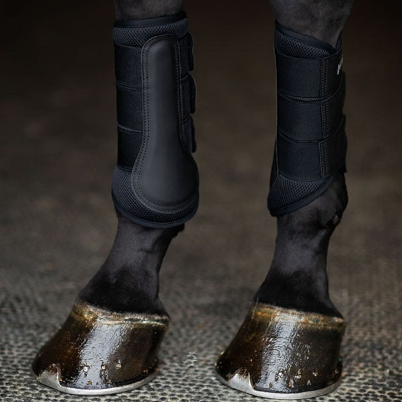 Dressurgamaschen Classic Mesh Boots Black Edition Gamaschen