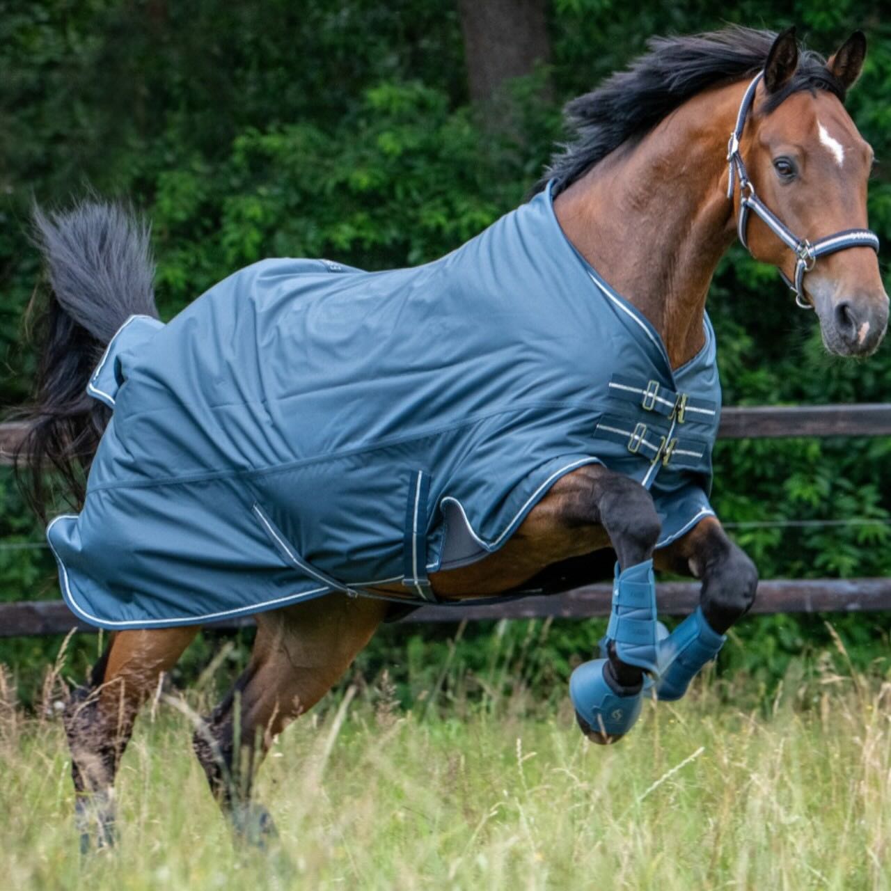 Gamaschen Mesh Classic Sports FS26 Dressurgamaschen