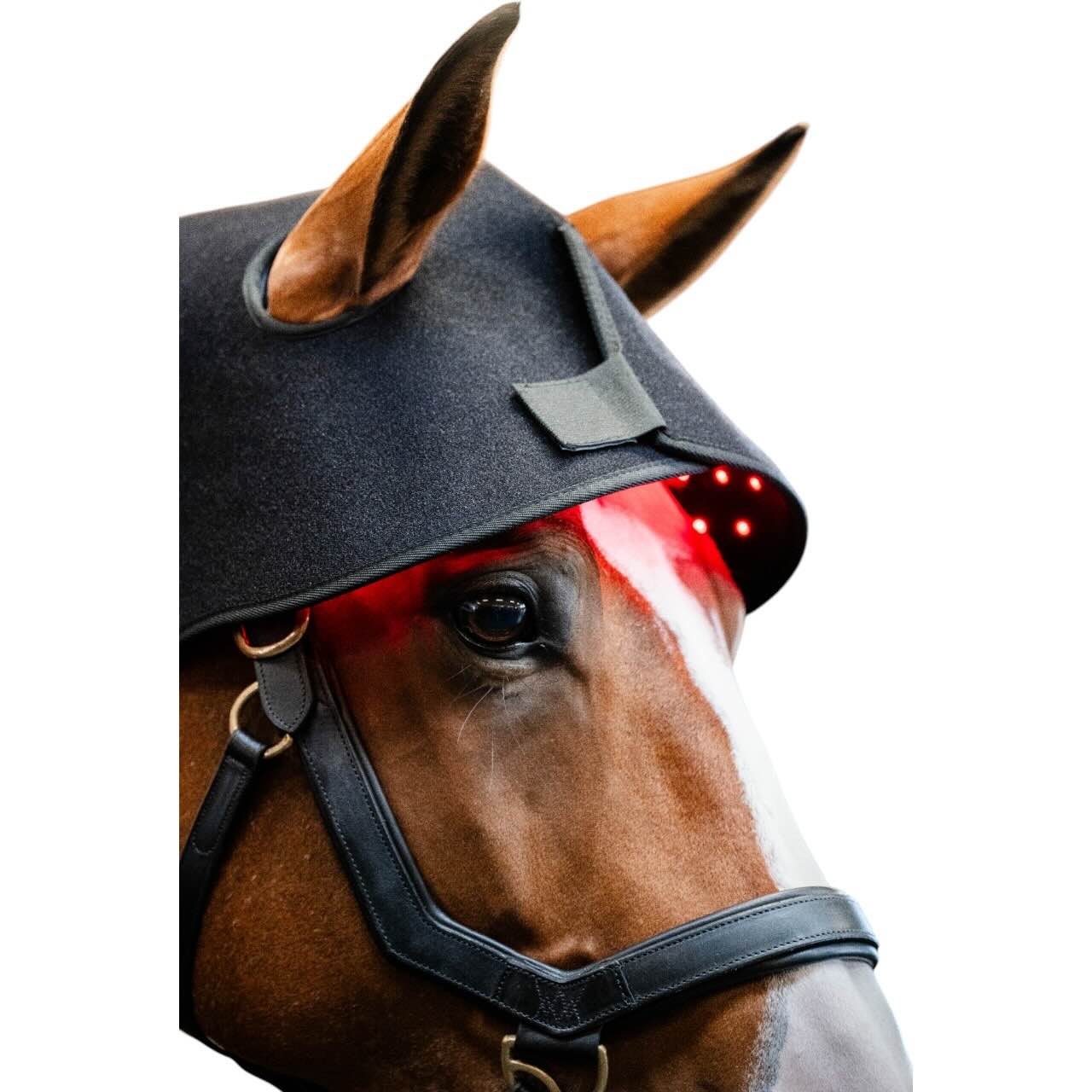 Genickhaube für LED-Rotlicht-Therapie Haube