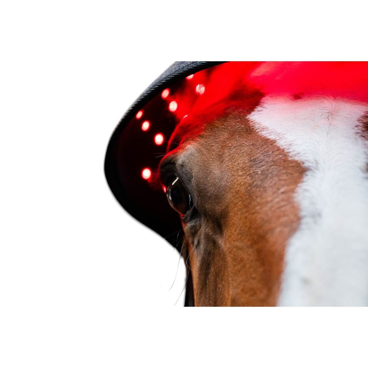Genickhaube für LED-Rotlicht-Therapie Haube