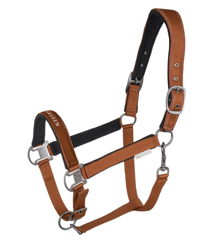 Halfter Athletic Nylonhalfter
