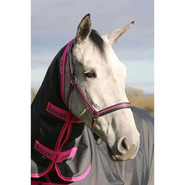 Fohlenhalfter Foal Halter Dublin