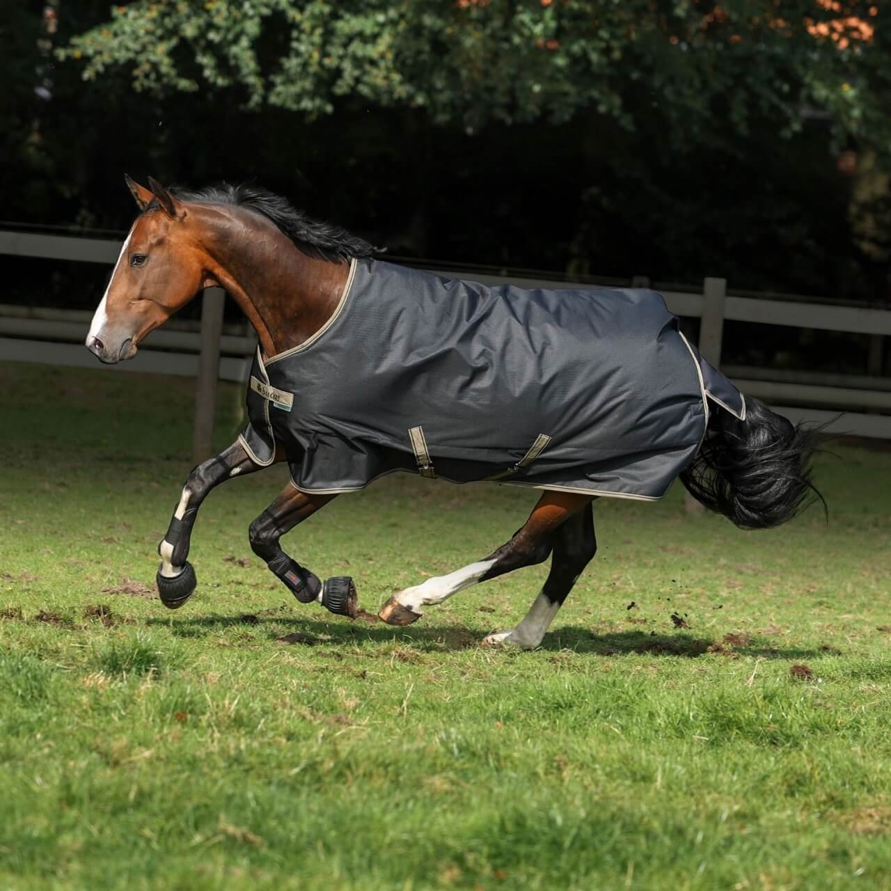 Outdoordecke 0g Freedom Turnout Light Regendecke