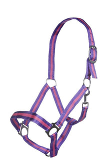 Lila/Pink