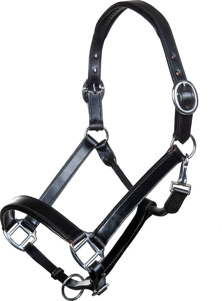 Leren halsters Economic van rundleer stalhalster
