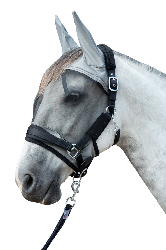 Grigio fango