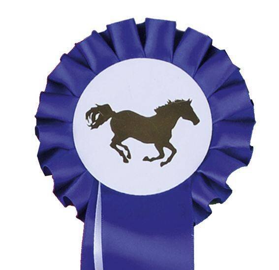 Turnirska rozeta, enojna, 10 cm, turnirski dodatki