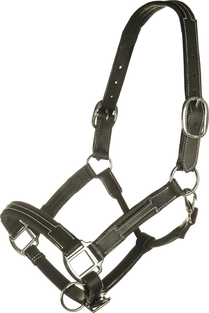 Lederhalfter Soft aus Rindleder Stallhalfter