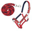 Rosso/Blu scuro