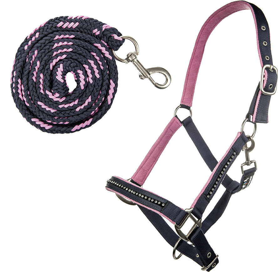 Nylonhalfter-Set Crystal mit Karabinerstrick Stallhalfter