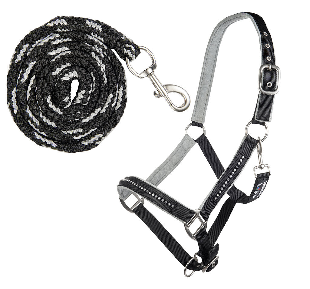 Nylonhalfter-Set Crystal mit Karabinerstrick Stallhalfter