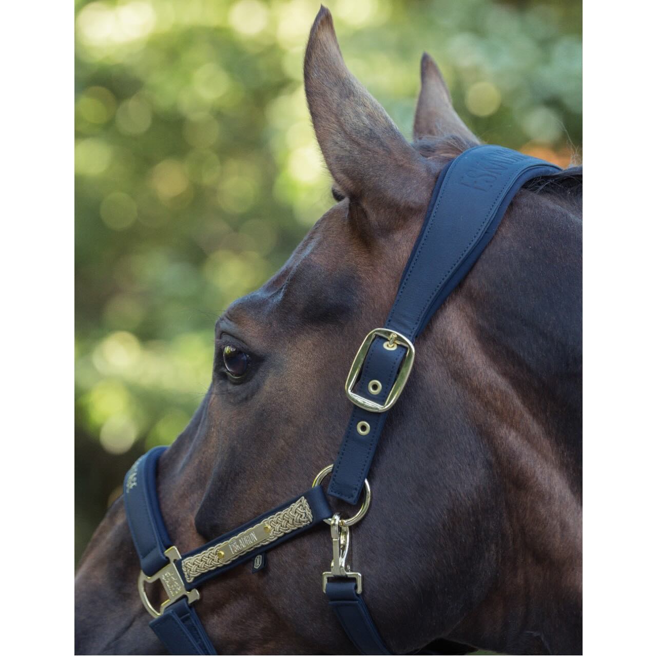 Halfter Faux Leather Double Pin Heritage 2025 Lederhalfter