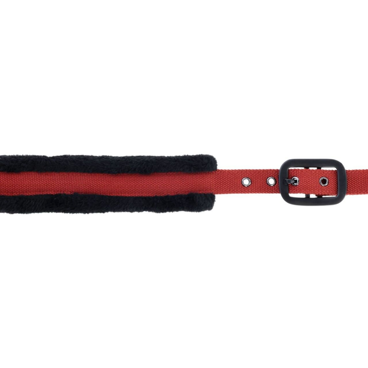 Covalliero Halfter HW 2025 Stallhalfter, Rot, Detailaufnahme des Stallhalfters mit Schnalle.