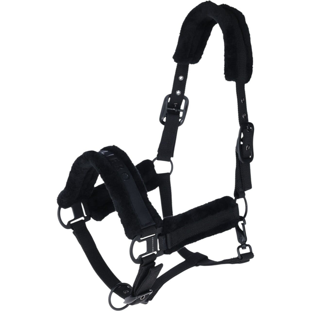 Covalliero Halfter HW 2025 Stallhalfter, Black, Produkt allein auf weißem Hintergrund.