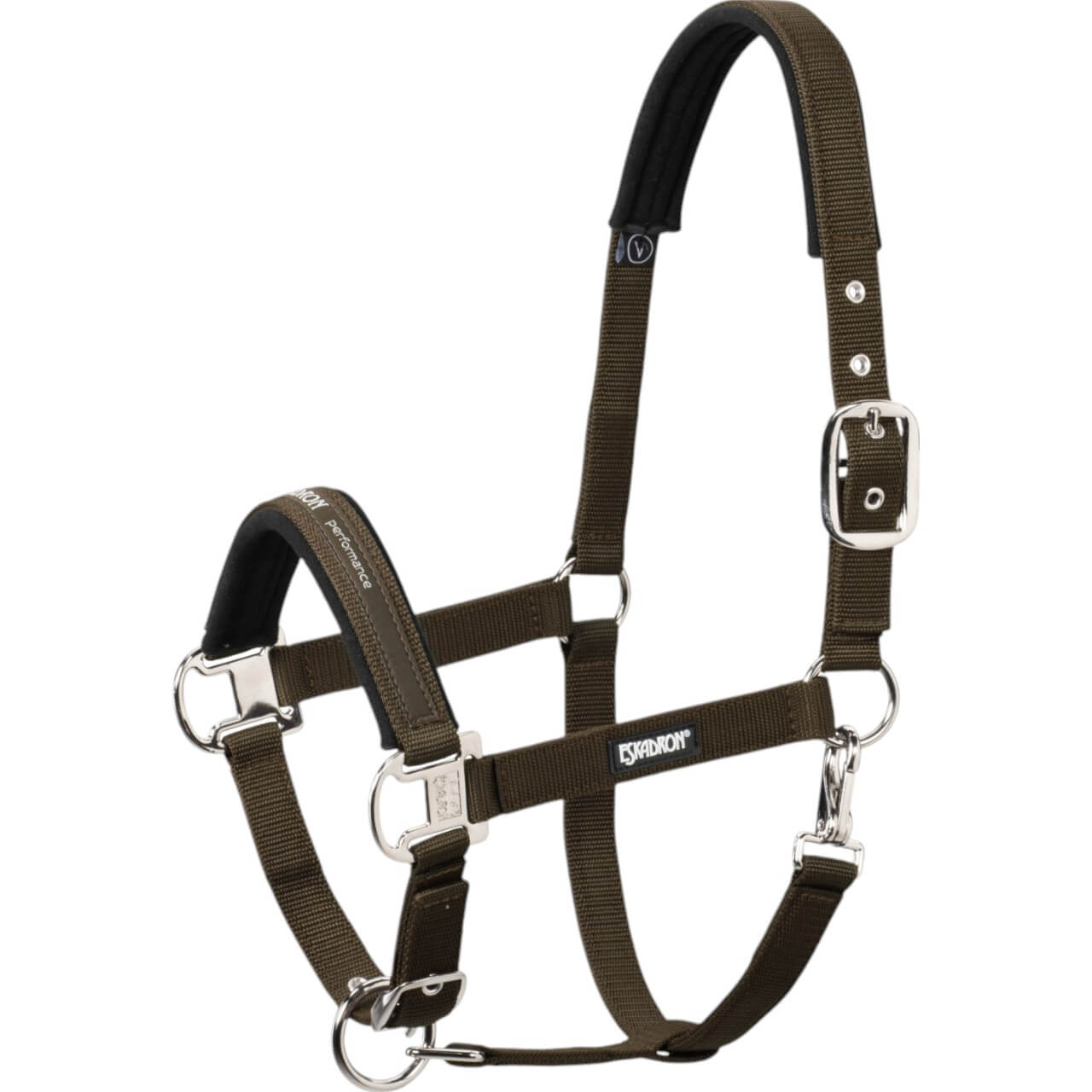 Halfter Pin Buckle Basic