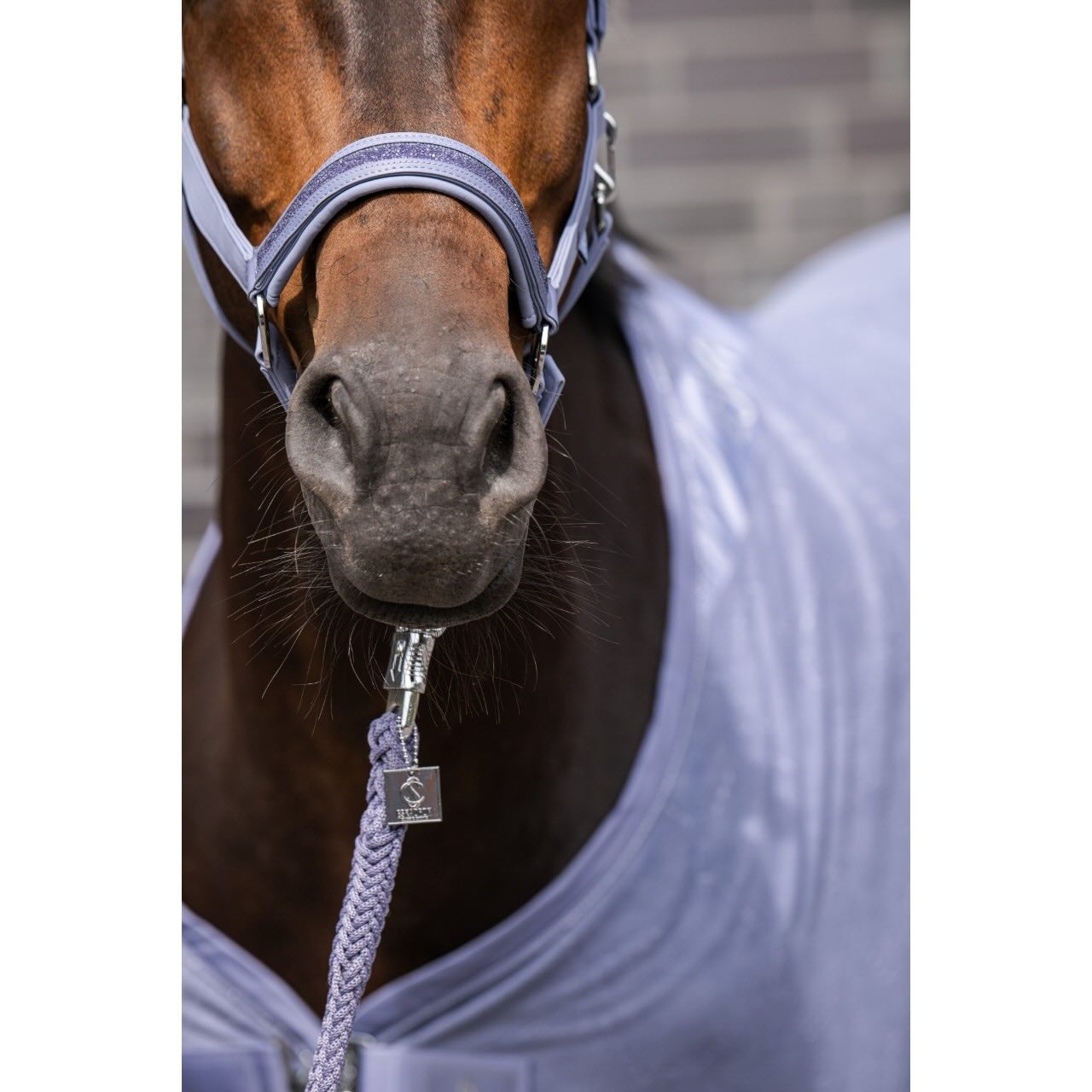 Halfter Softshell Jewel DP Sports FS26 Softshellhalfter