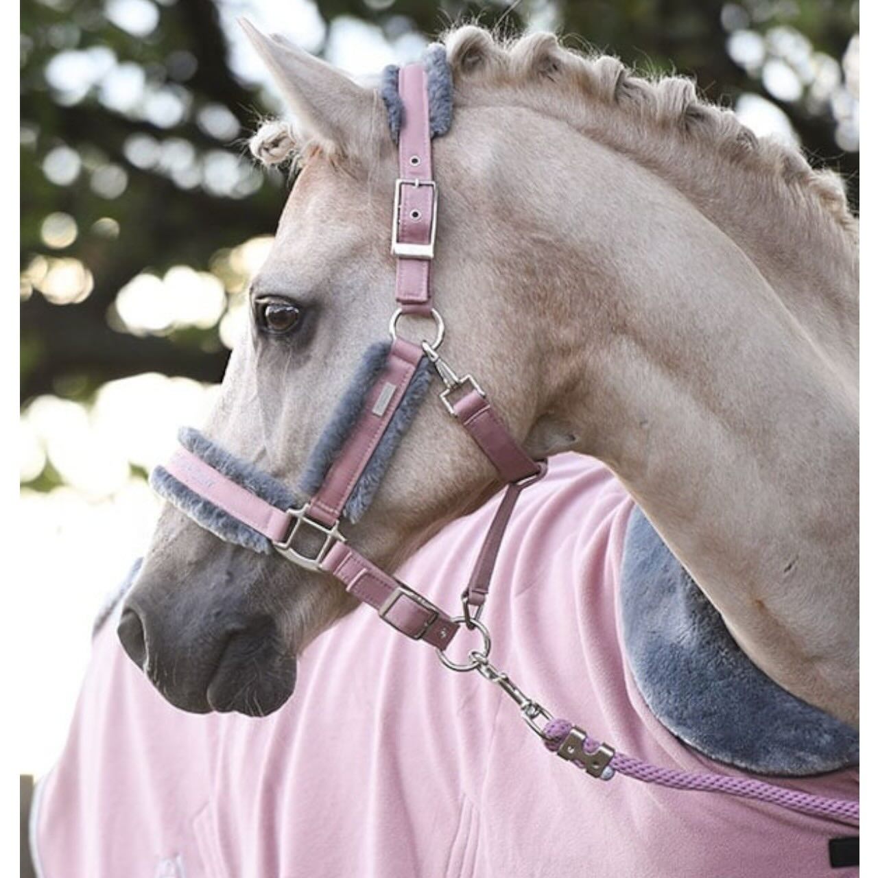 Halfter mit Strick Pink Fleecehalfter