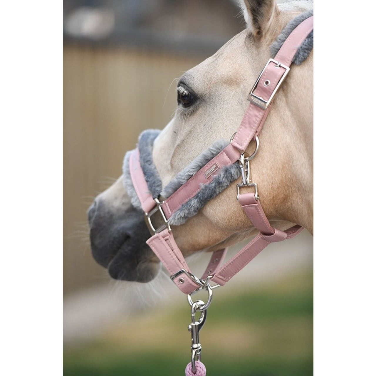 Halfter mit Strick Pink Fleecehalfter