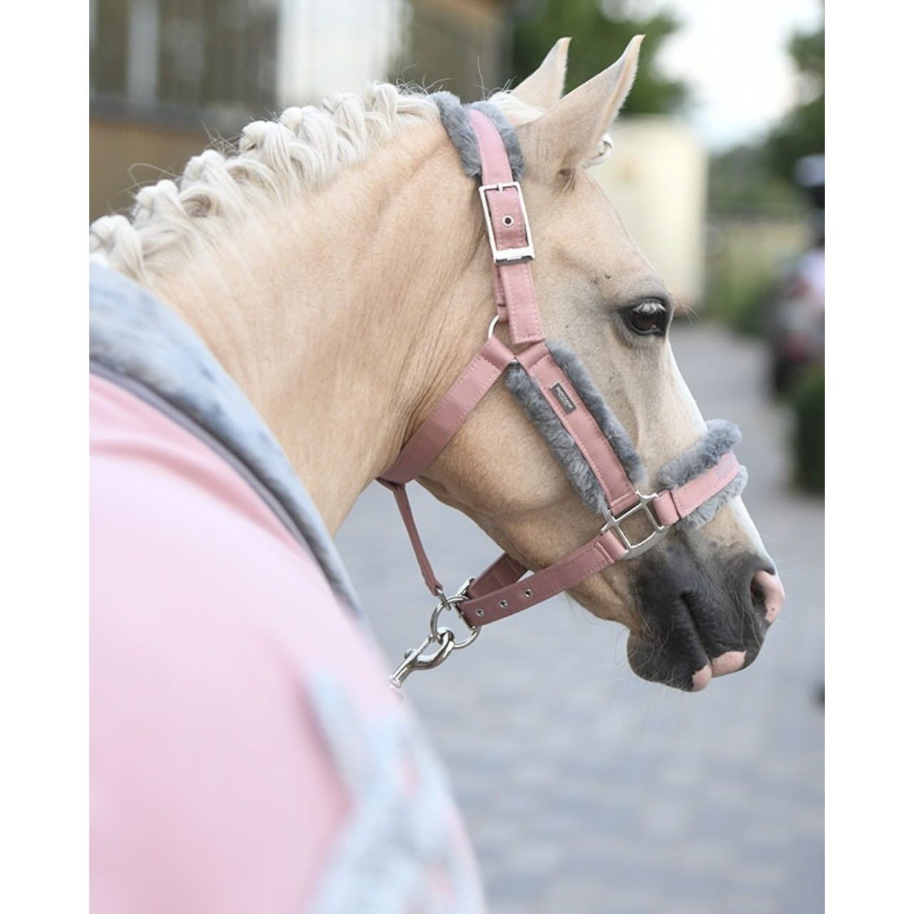 Halfter mit Strick Pink Fleecehalfter