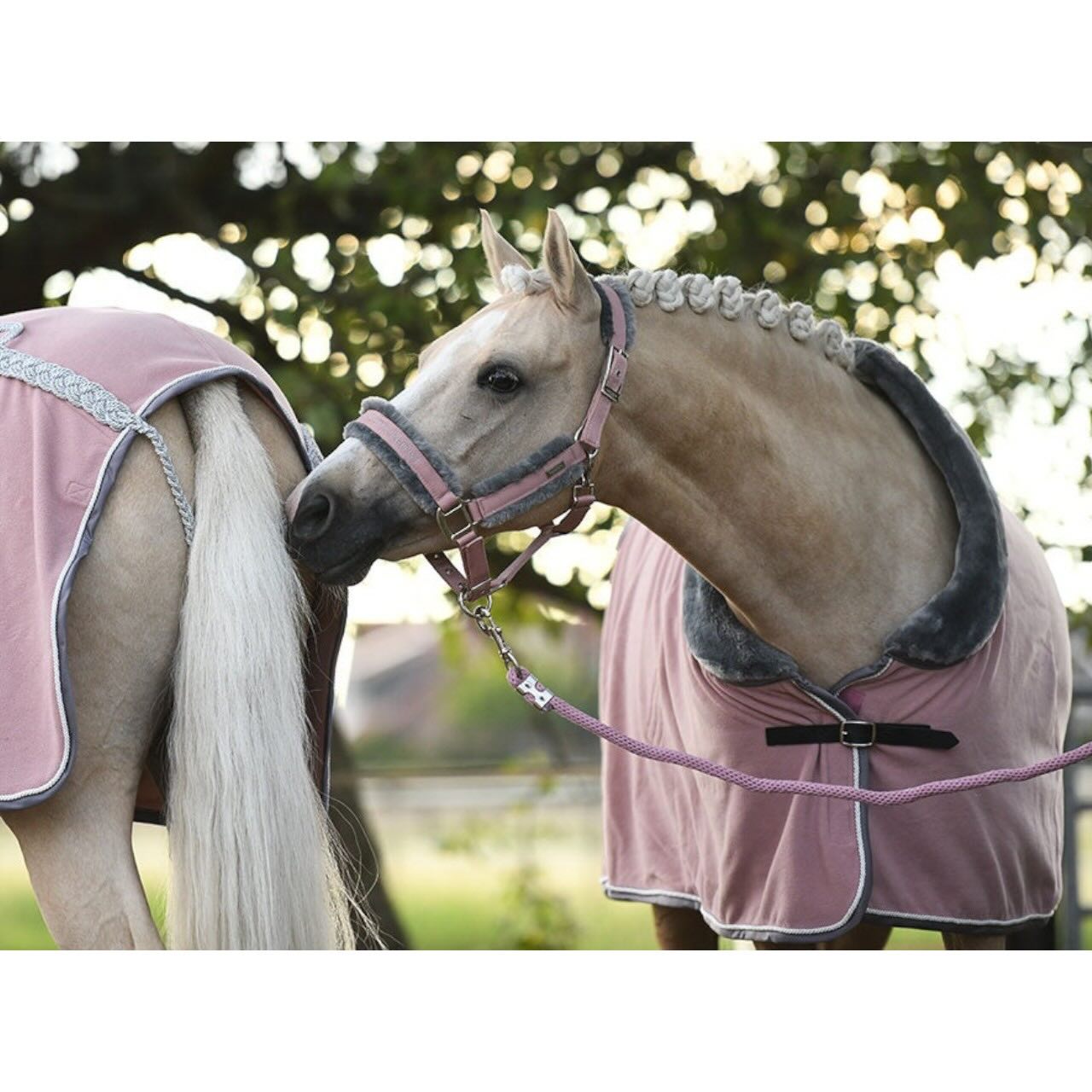 Halfter mit Strick Pink Fleecehalfter