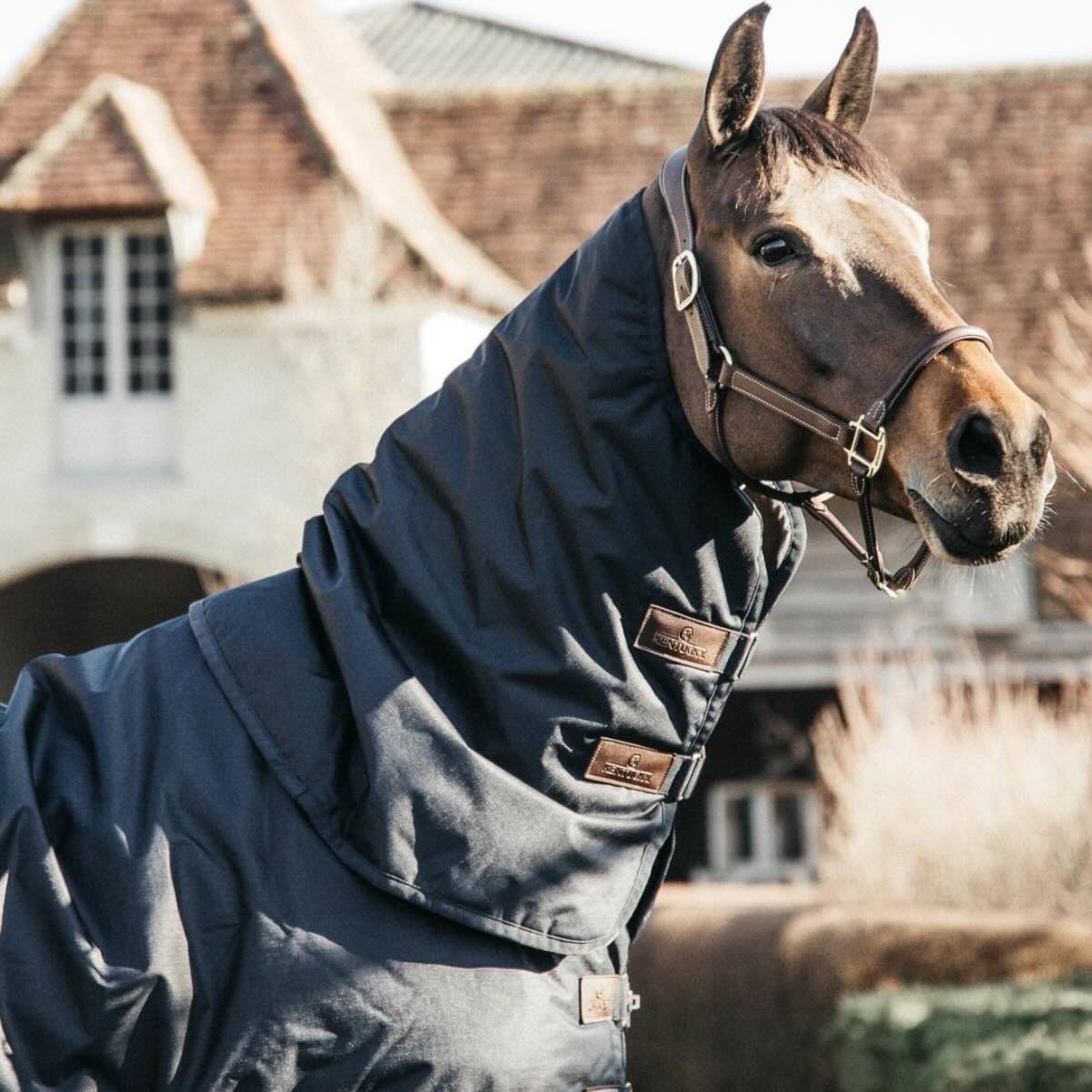 Halsteil 0g All Weather Wasserdicht Classic