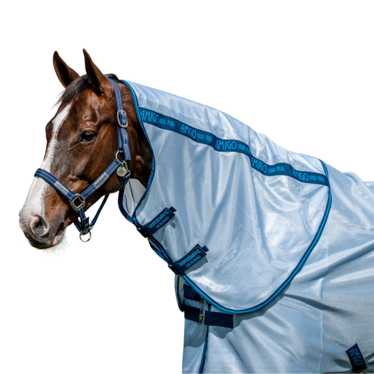 Horseware Ireland Halsteil Fliegendecke Amigo Bug Rug, Silver/Titanium Grey & Silver, am Pferd getragen.