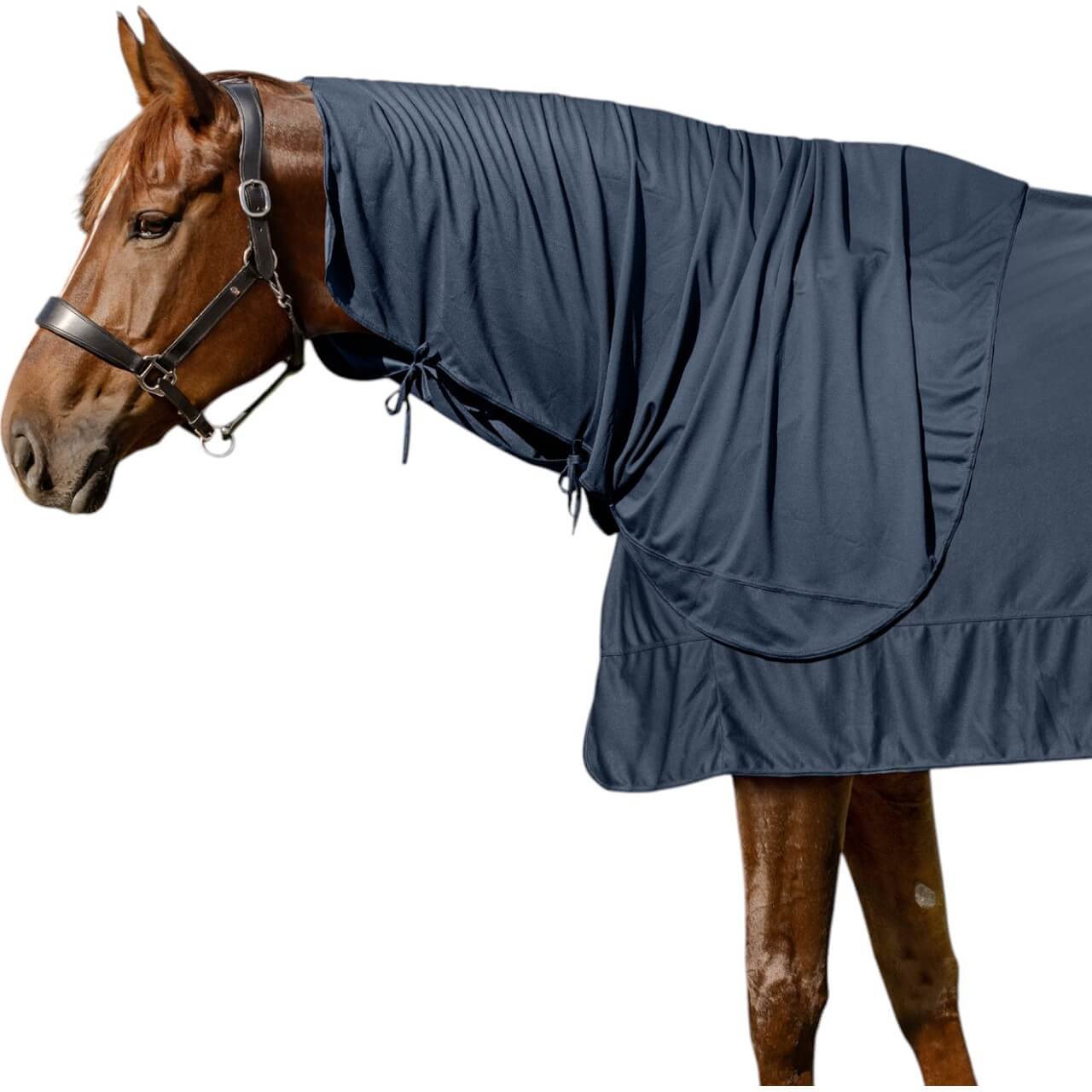 Halsteil Ice Layer Neck Cover