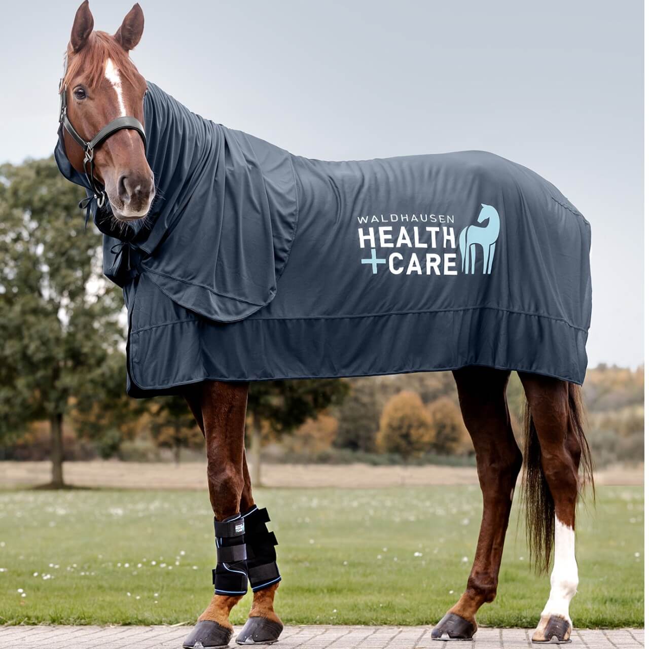 Halsteil Ice Layer Neck Cover