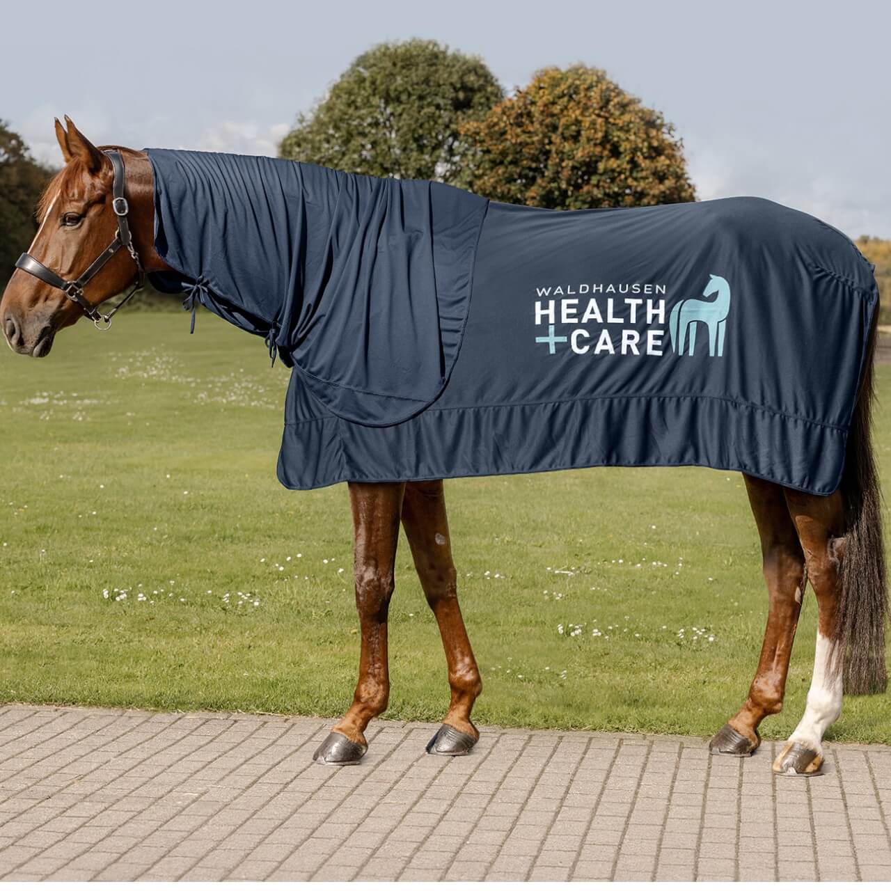 Halsteil Ice Layer Neck Cover