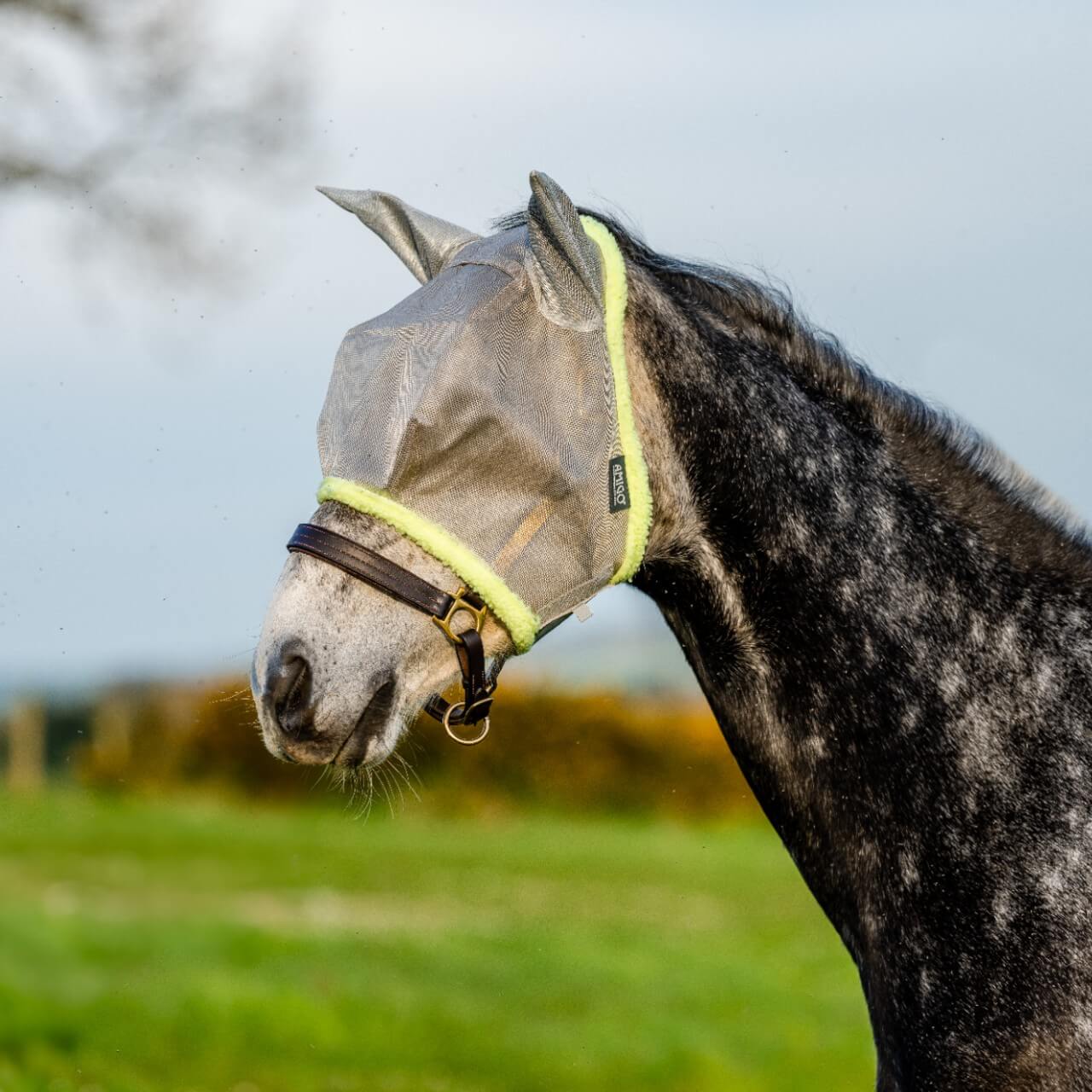 Fliegenmaske Amigo Fly Mask