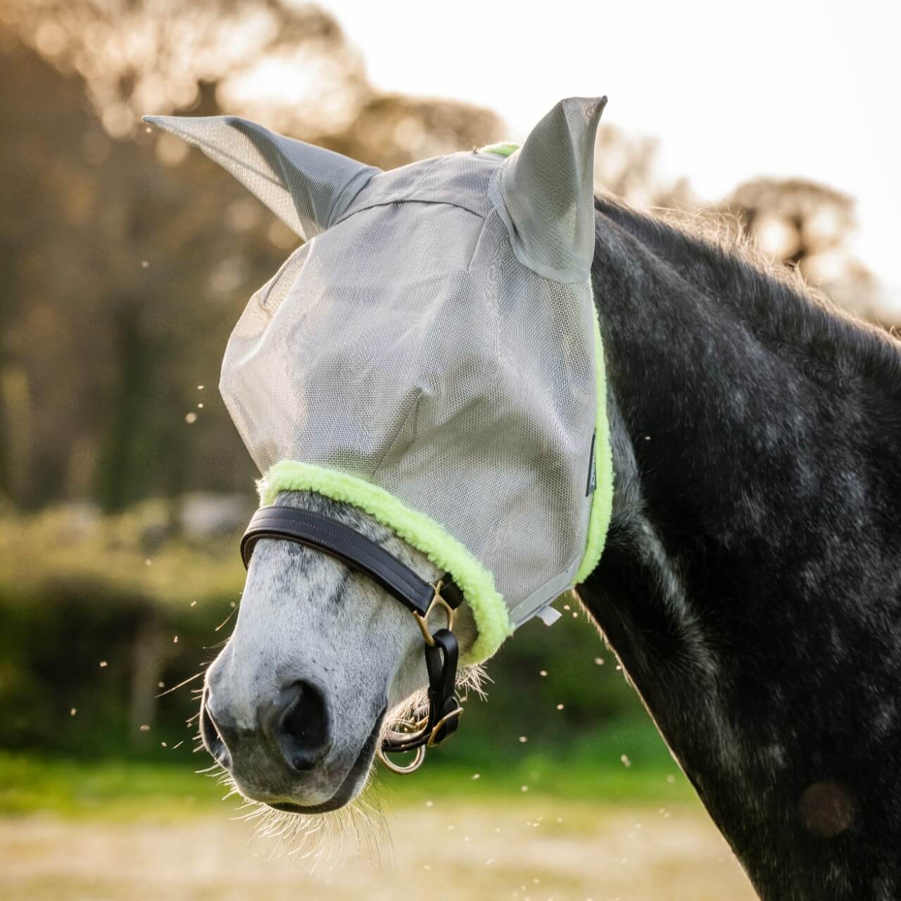 Fliegenmaske Amigo Fly Mask