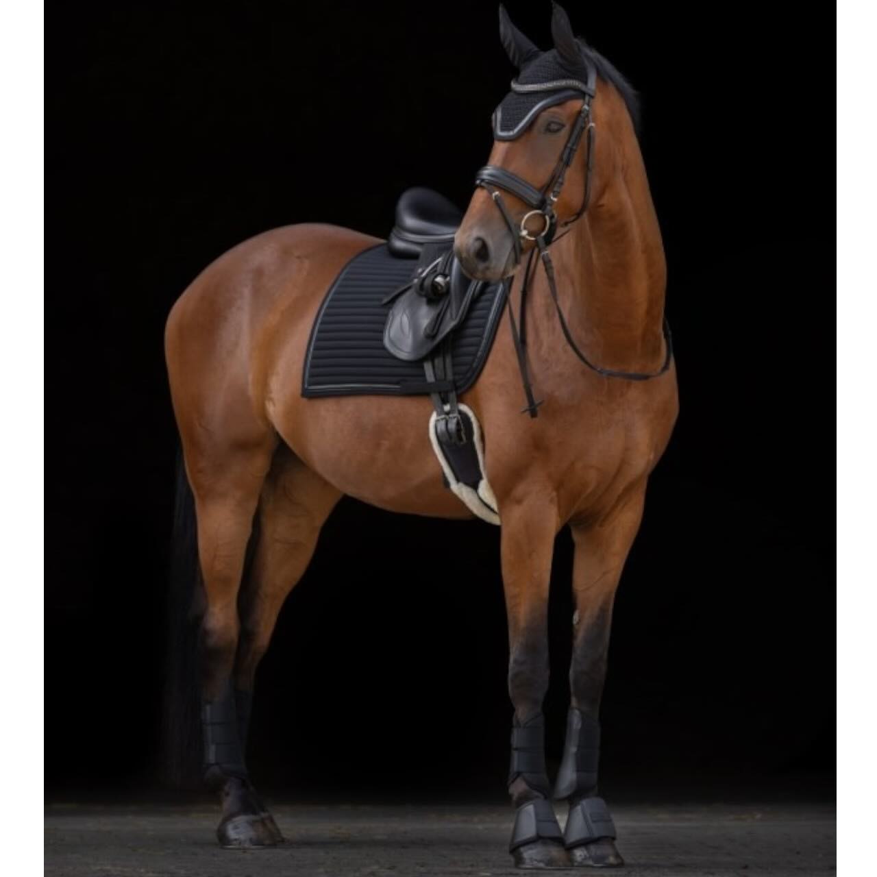Hufglocken Avina Sprungglocken