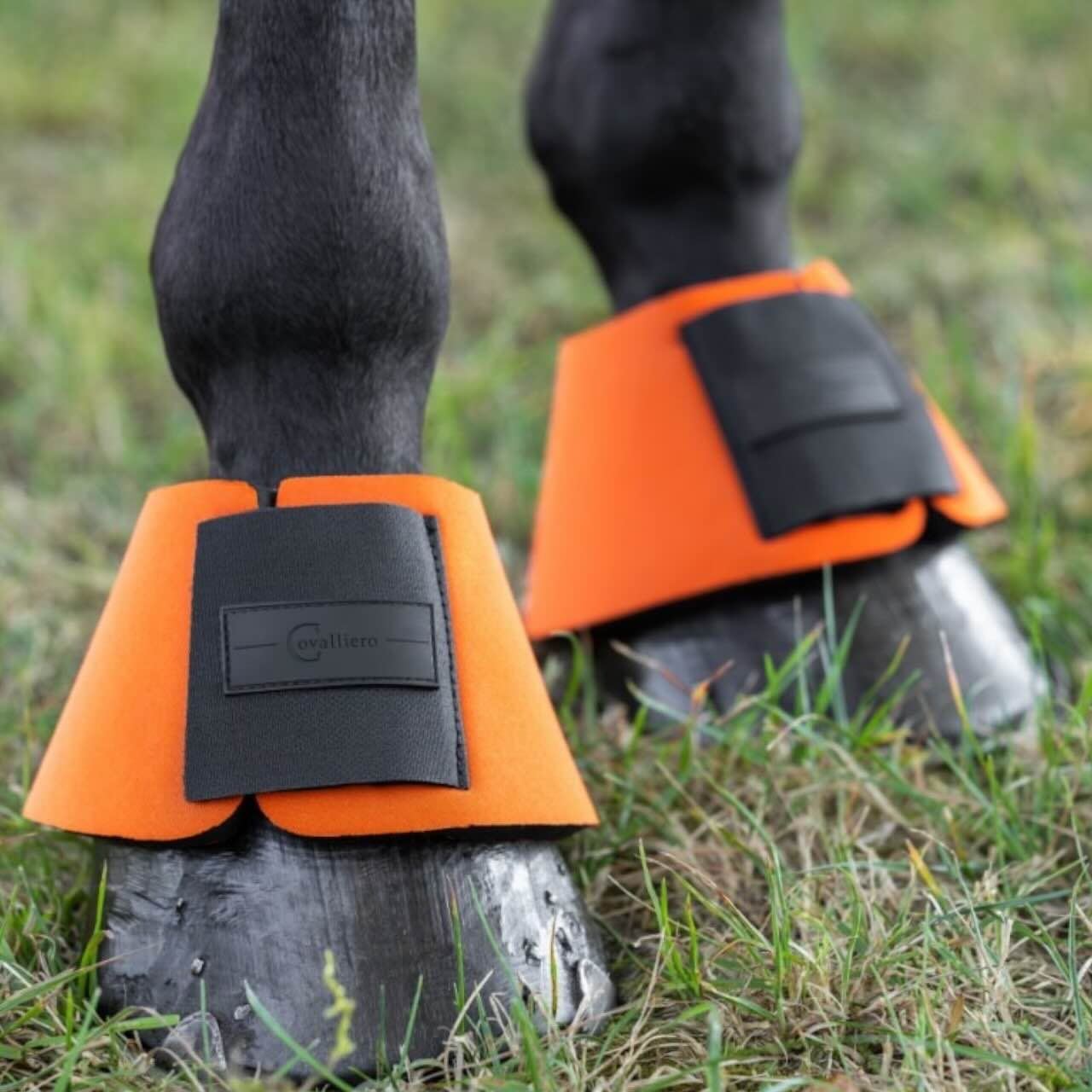 Hufglocken NeoLite Sprungglocken