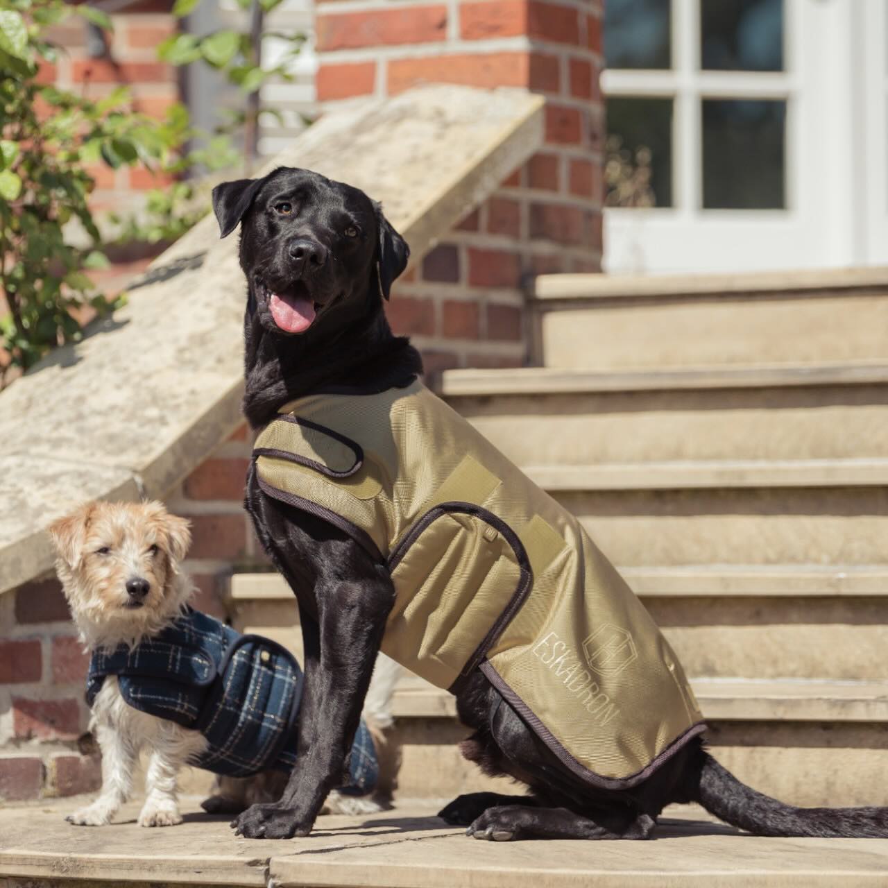 Hundemantel Heritage 2025 Hundejacke