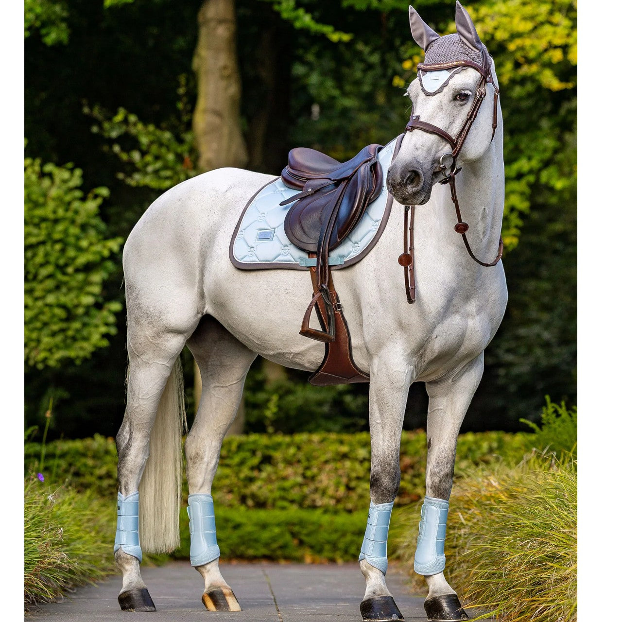 Dressurgamaschen Ice Blue Mesh Brushing Boots