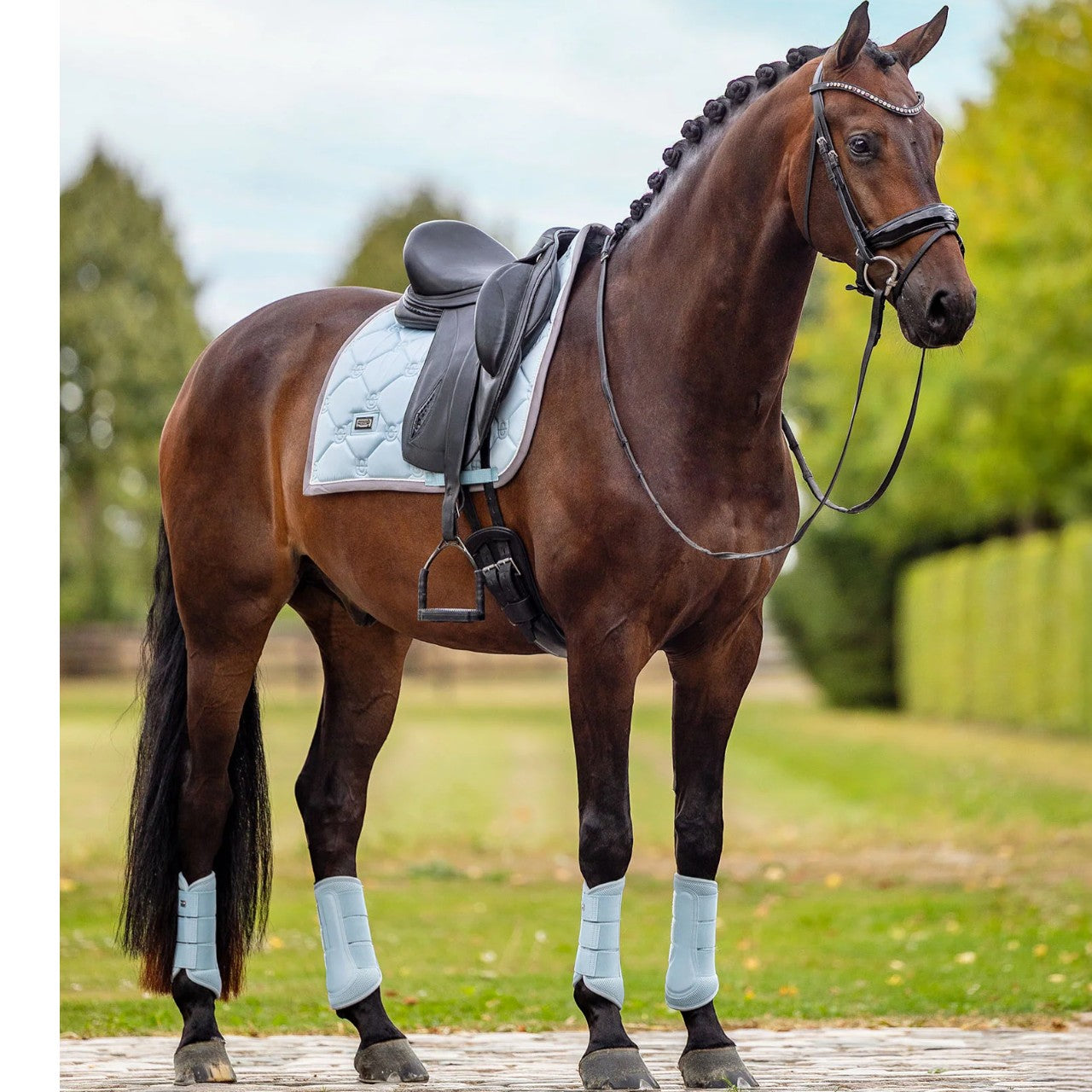 Dressurgamaschen Ice Blue Mesh Brushing Boots