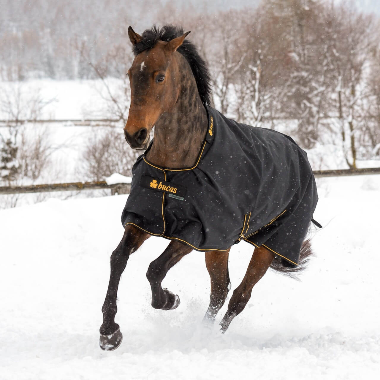 Outdoordecke 300g Irish Turnout Weidedecke