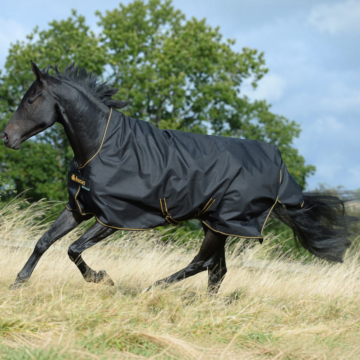 Outdoordecke 100g Irish Turnout Weidedecke