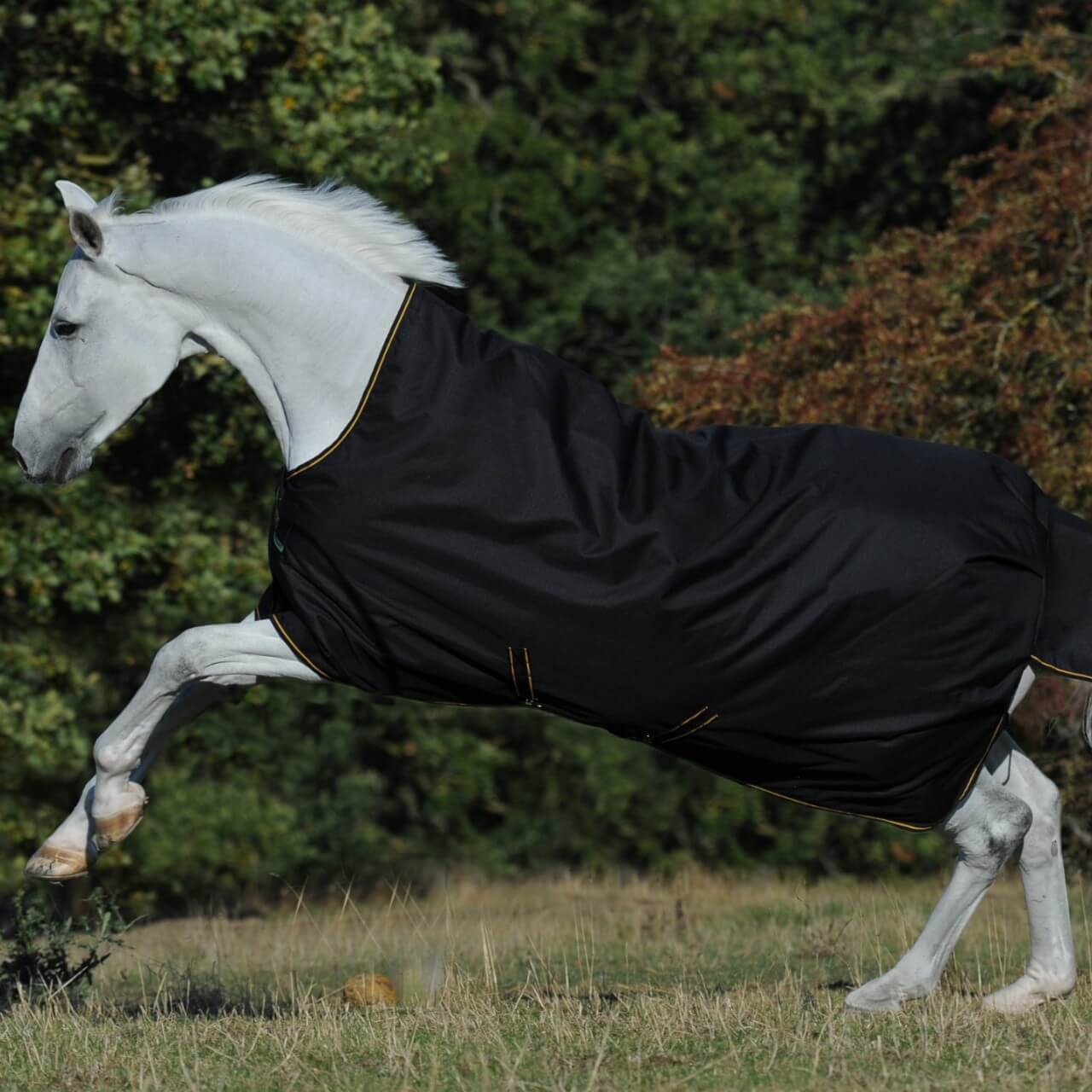Outdoordecke 300g Irish Turnout Weidedecke