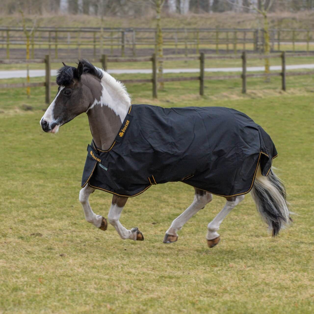 Outdoordecke 300g Irish Turnout Weidedecke