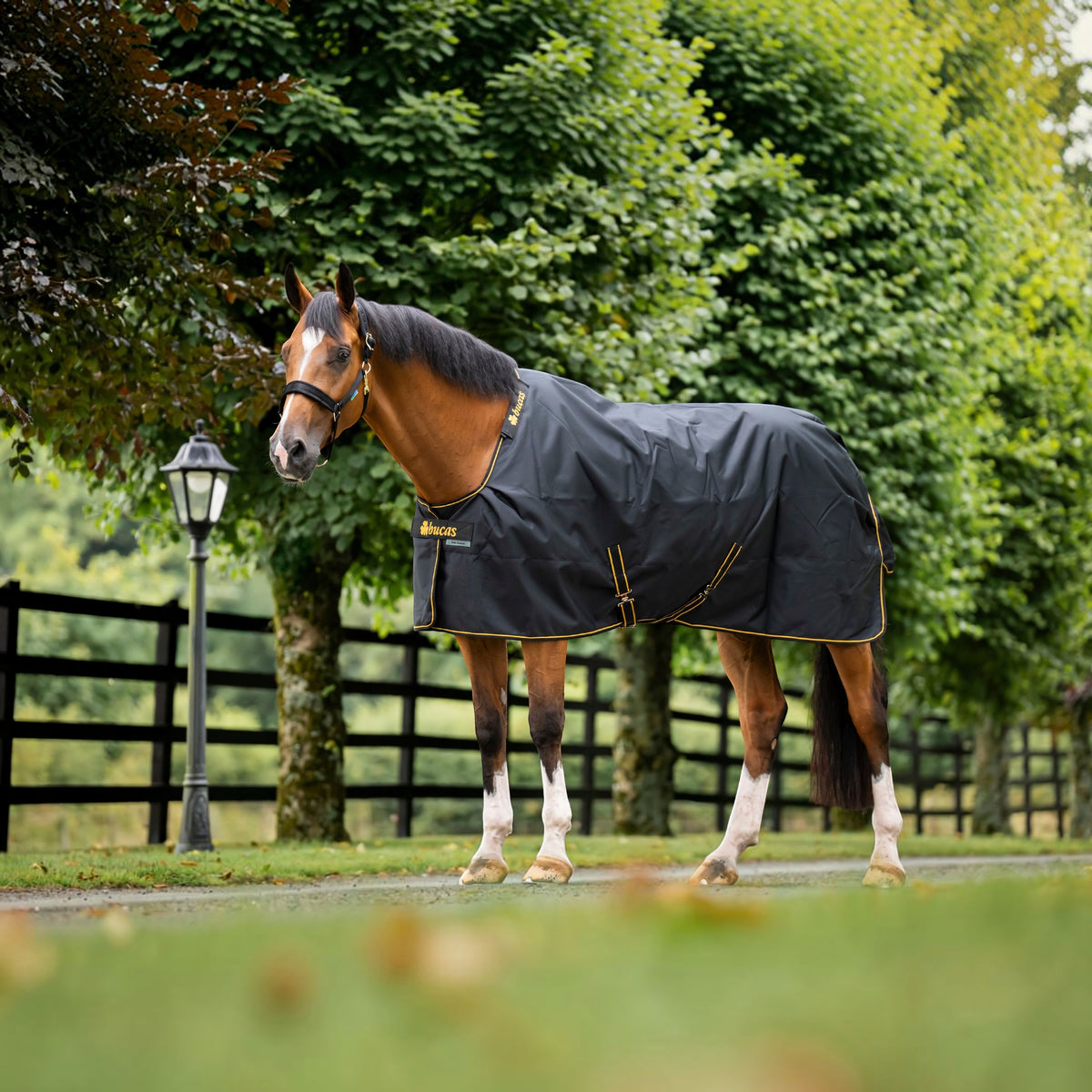 Outdoordeken 50g Irish Turnout Regendeken