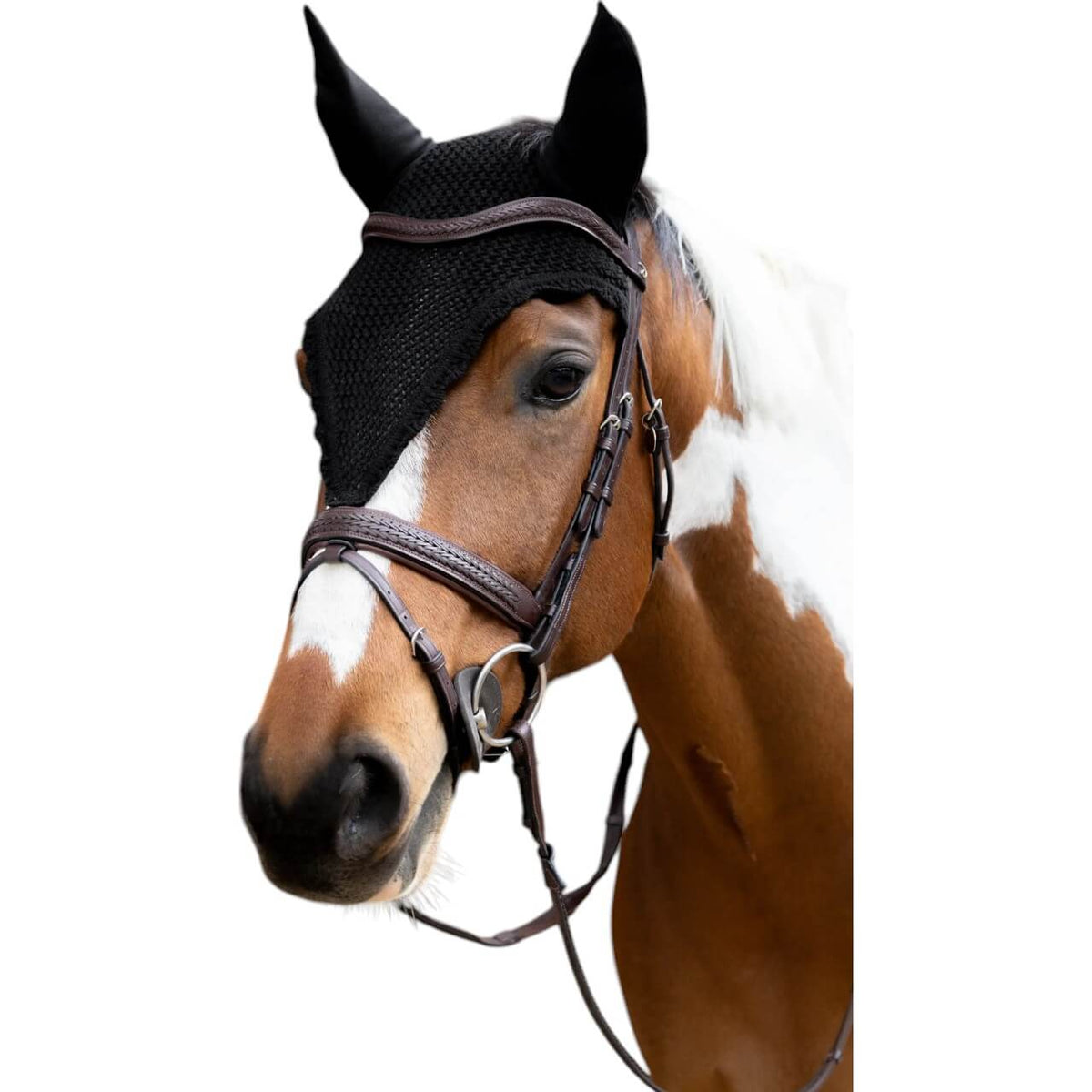 Kentucky Horsewear Fliegenhaube Lang Fliegenmütze, Schwarz, am Pferdekopf getragen.