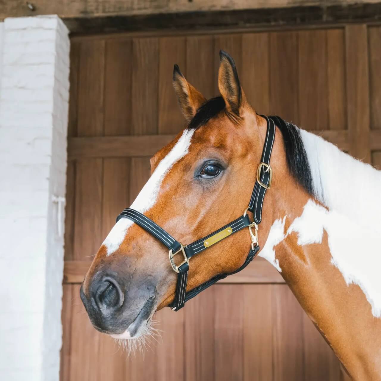 Lederhalfter Wellington Leather Halfter