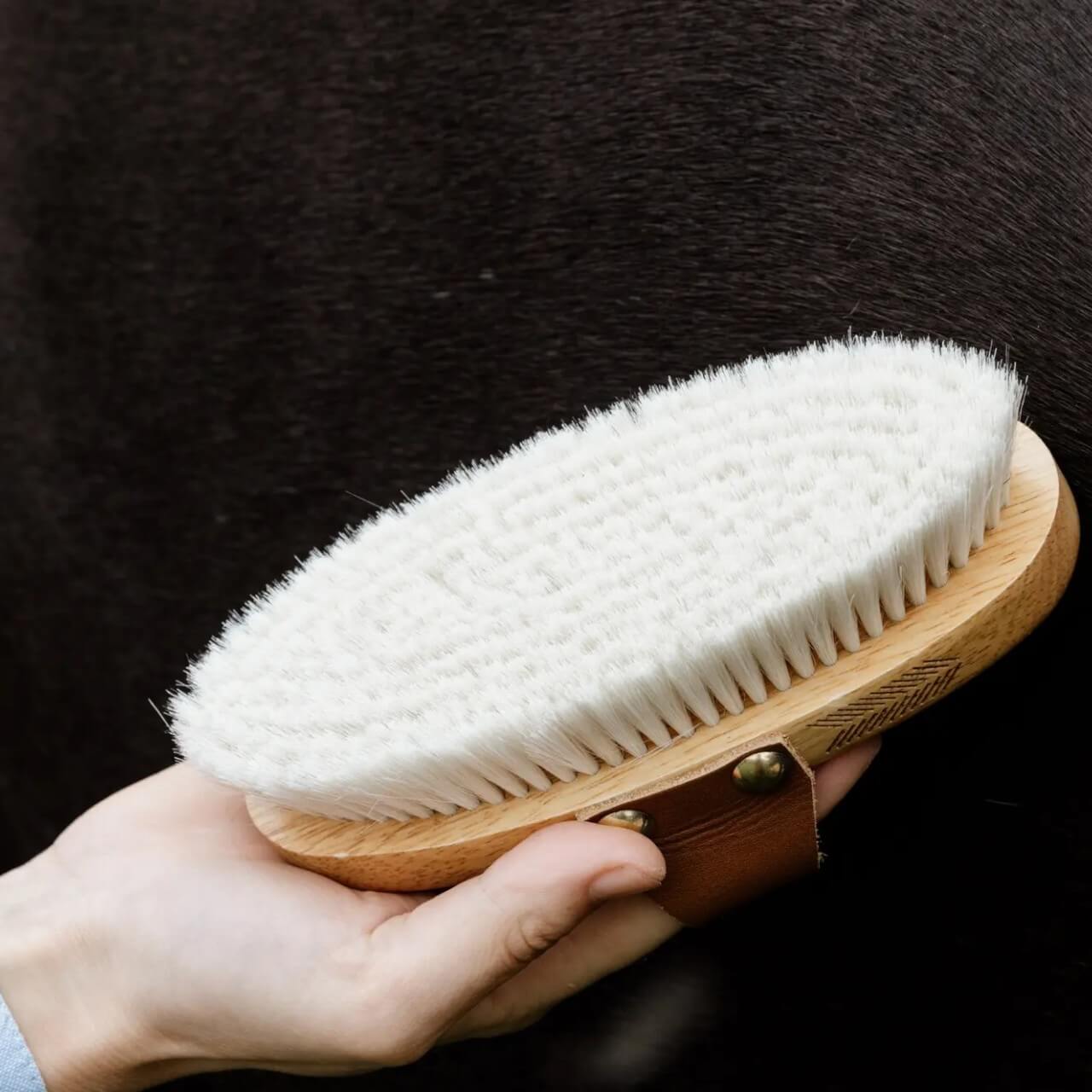 Glanzbürste Overall Brush Soft Bürste