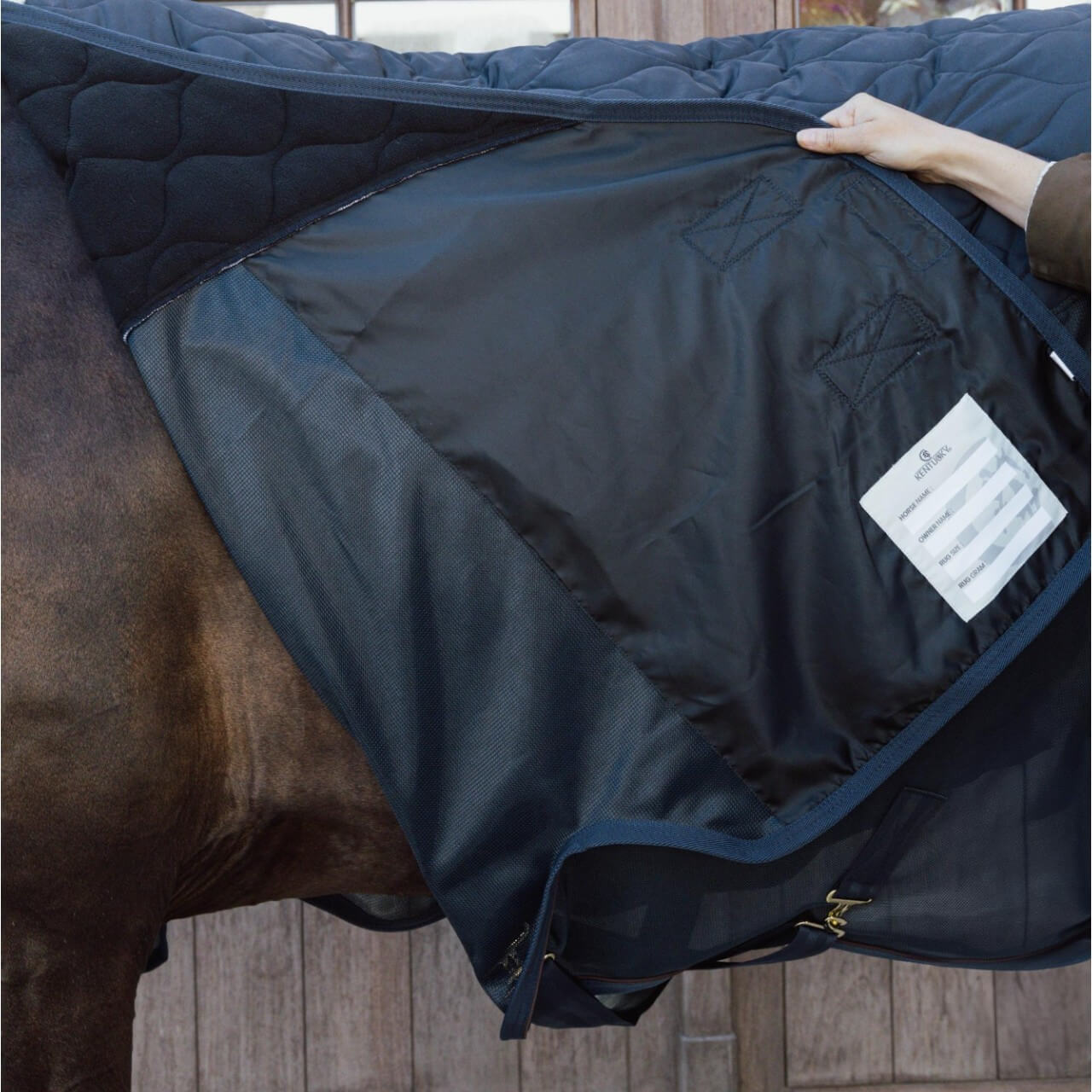 Transportdecke Abschwitzdecke Combo Cooler
